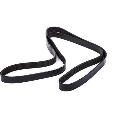 Serpentine Belt by ACDELCO - 12605208 pa1