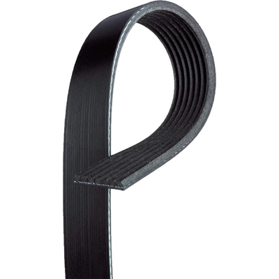 Serpentine Belt by ACDELCO - 12634319 pa1