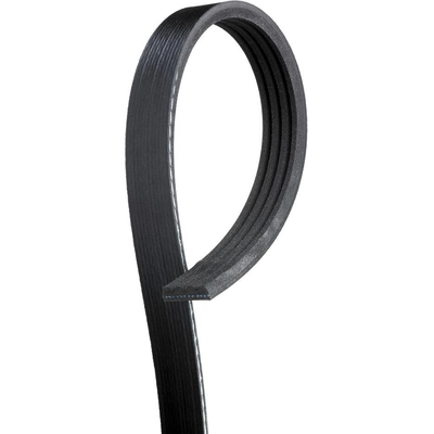 Serpentine Belt by ACDELCO - 4K398 pa1