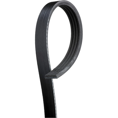 ACDELCO - 4K430 - Standard V-Ribbed Serpentine Belt pa4