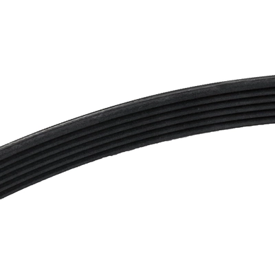 Serpentine Belt by ACDELCO - 55595700 pa2