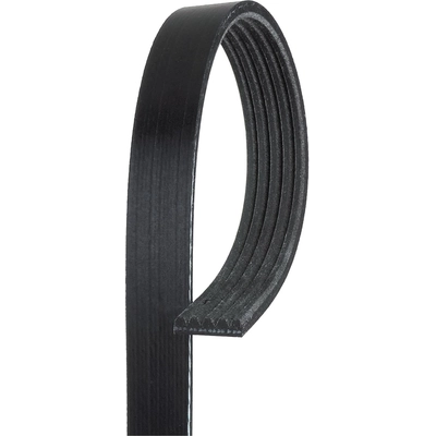ACDELCO - 5K264SF - Stretch Fit V-Ribbed Serpentine Belt pa6