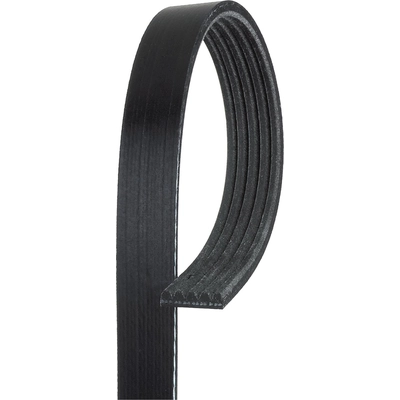Serpentine Belt by ACDELCO - 5K545 pa1