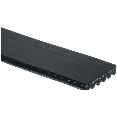 ACDELCO - 6K494 - Serpentine Belt pa2