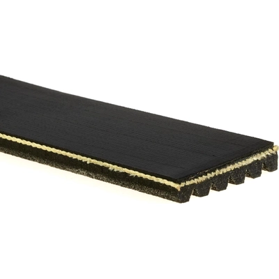 Serpentine Belt by ACDELCO - 6K664A pa2