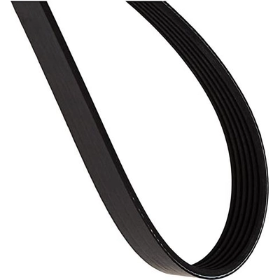 ACDELCO - 6K841 - Serpentine Belt pa2