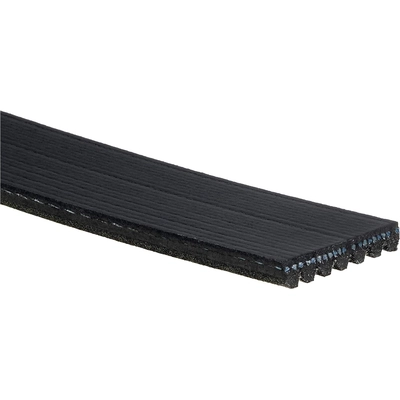 ACDELCO - 7K852 - Serpentine Belt pa1