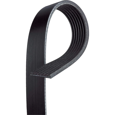 ACDELCO - 7K852 - Serpentine Belt pa2
