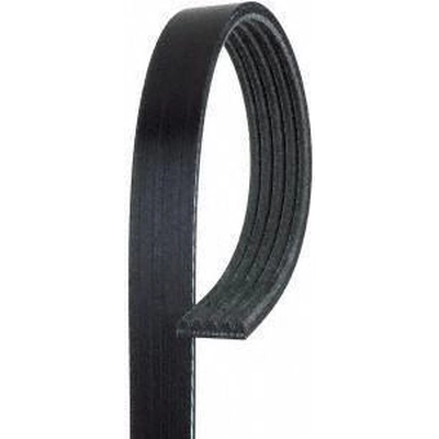 Serpentine Belt by ACDELCO PROFESSIONAL - 5K402 pa2