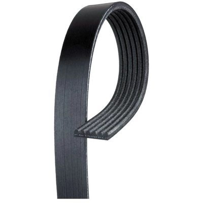 ACDELCO PROFESSIONAL - 6K544 - V-Ribbed Serpentine Belt pa1