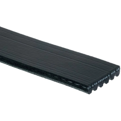 ACDELCO PROFESSIONAL - 6K544 - V-Ribbed Serpentine Belt pa2