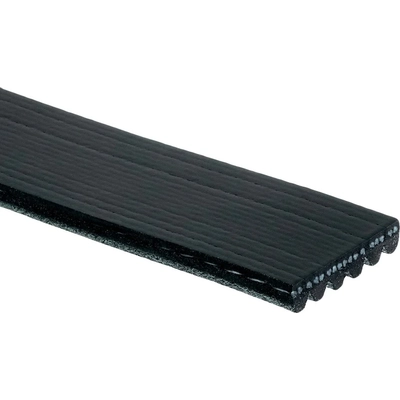 ACDELCO PROFESSIONAL - 6K563 - Serpentine Belt pa2