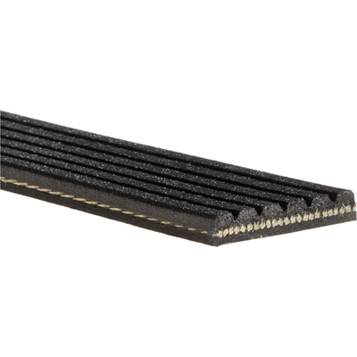 ACDELCO PROFESSIONAL - 6K880A - Serpentine Belt pa2