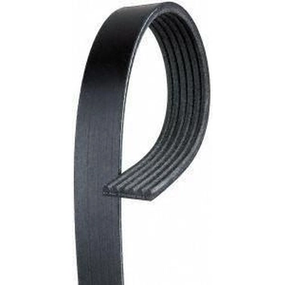 Serpentine Belt by ACDELCO PROFESSIONAL - 6K465 pa2