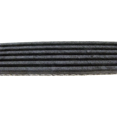 Serpentine Belt by CONTINENTAL - 1000K6MK pa1