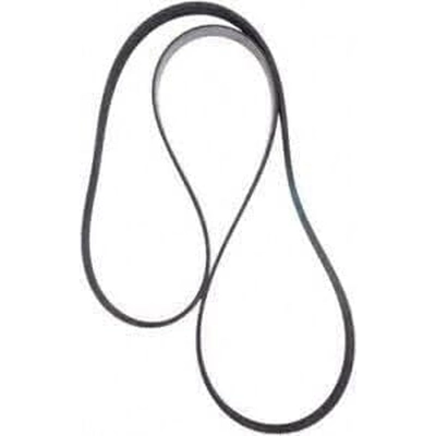 Serpentine Belt by CONTINENTAL - 1005K7MK pa1