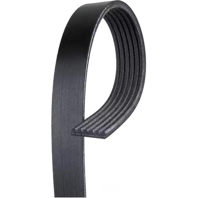 CONTINENTAL - 1032K6MK - V Belt pa1