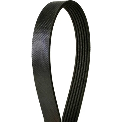 Serpentine Belt by CONTINENTAL - 1055K6MK pa2