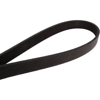 Serpentine Belt by CONTINENTAL - 1058K6MK pa2