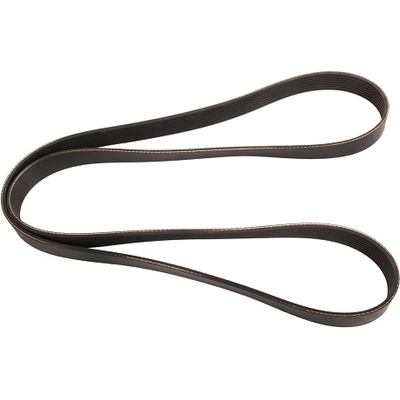 Serpentine Belt by CONTINENTAL - 1102K8MK pa2