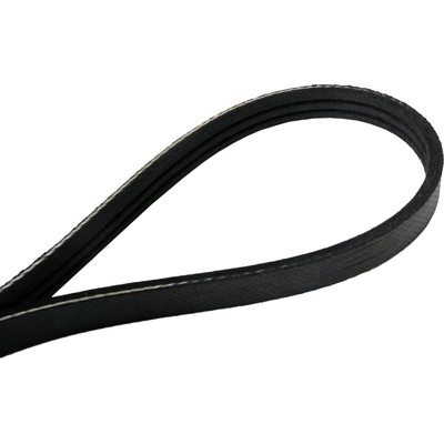 CONTINENTAL - 195K3SMK - Mileage Maker Multi-V Elastic Belt pa2
