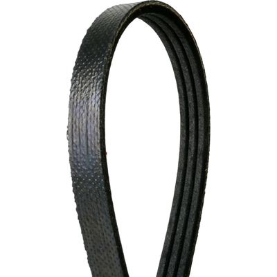 CONTINENTAL - 195K3SMK - Mileage Maker Multi-V Elastic Belt pa3