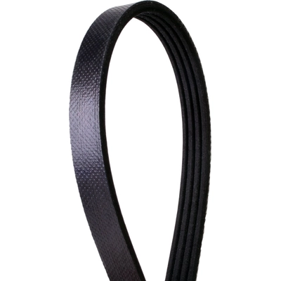 Courroie serpentine de CONTINENTAL - 317K4SMK pa2