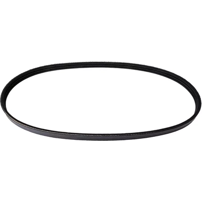 Serpentine Belt by CONTINENTAL - 335K3MK pa1