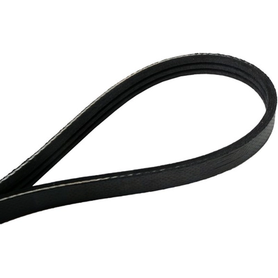 Serpentine Belt by CONTINENTAL - 335K3MK pa4