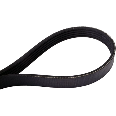 Serpentine Belt by CONTINENTAL - 350K5MK pa4