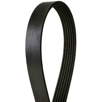 CONTINENTAL - 382K6MK - V-Belt pa1