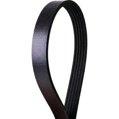 CONTINENTAL - 395K5MK - Mileage Maker Multi-V Belt pa1