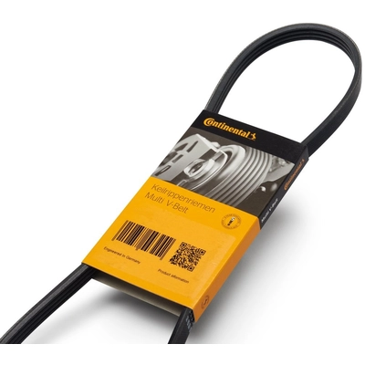 CONTINENTAL - 3PK815 - V-Ribbed Belt pa2