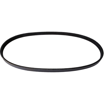Serpentine Belt by CONTINENTAL - 4030247S pa2