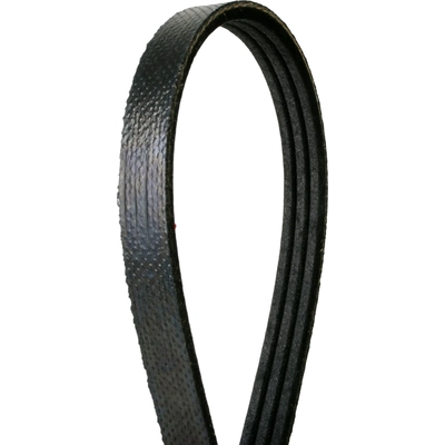 Serpentine Belt by CONTINENTAL - 4030315S pa2