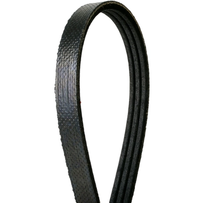 CONTINENTAL - 4030330S - Multi-V Elastic Belt pa3