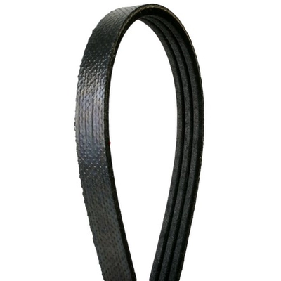 CONTINENTAL - 4030340 - Serpentine Belt - Automotive V-Belt pa2