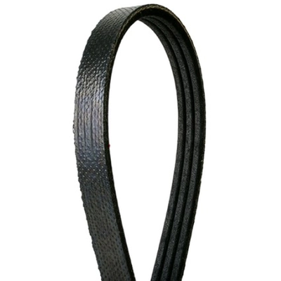 CONTINENTAL - 4030350 - Courroie serpentine - Automotive V- Belt pa1