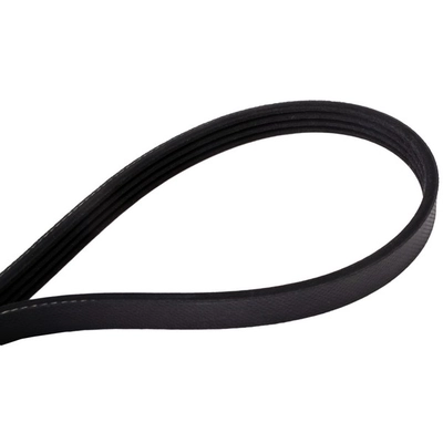 CONTINENTAL - 4040235 - Serpentine Belt - Automotive V-Belt pa2