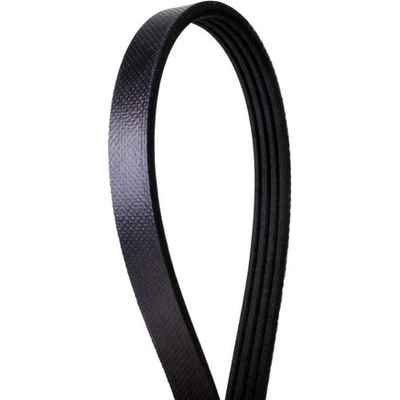 CONTINENTAL - 4040425 - Serpentine Belt - Automotive V-Belt pa5