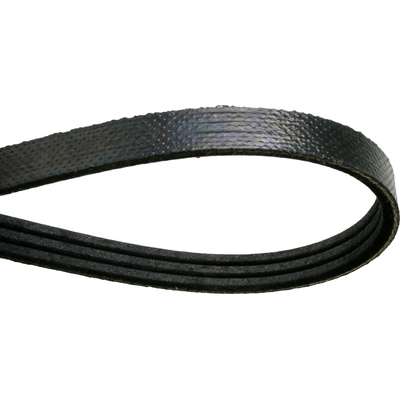CONTINENTAL - 4040435 - Serpentine Belt - Automotive V-Belt pa2