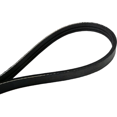 CONTINENTAL - 4050515 - Serpentine Belt pa2