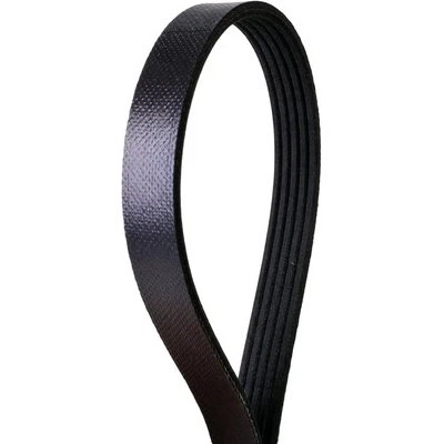 CONTINENTAL - 4050612 - Serpentine Belt - Automotive V-Belt pa4