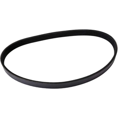 CONTINENTAL - 4050617 - Serpentine Belt - Automotive V-Belt pa4