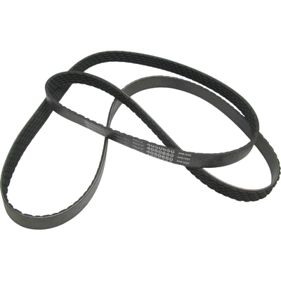 CONTINENTAL - 4050650 - Serpentine Belt - Automotive V- Belt pa4