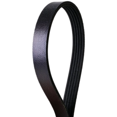 CONTINENTAL - 4050755 - Serpentine Belt - Automotive V-Belt pa2