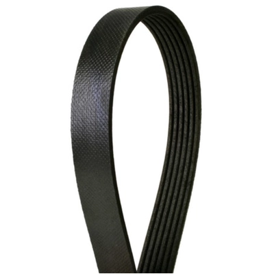 CONTINENTAL - 4060345 - Serpentine Belt - Automotive V-Belt pa2