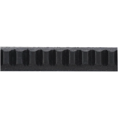 CONTINENTAL - 4060407 - Serpentine Belt - Automotive V - Belt pa1