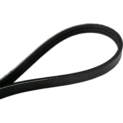 Serpentine Belt by CONTINENTAL - 4060443 pa2