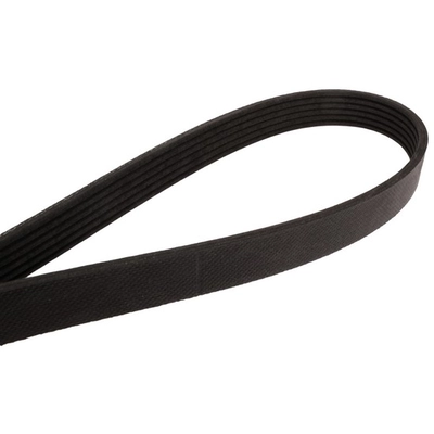 CONTINENTAL - 4060571 - Courroie serpentine - Automotive V-Belt pa2